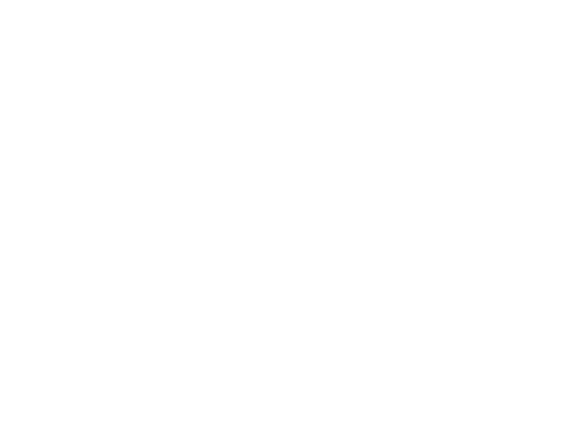 O Plano